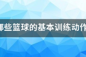 篮球训练文字内容有哪些